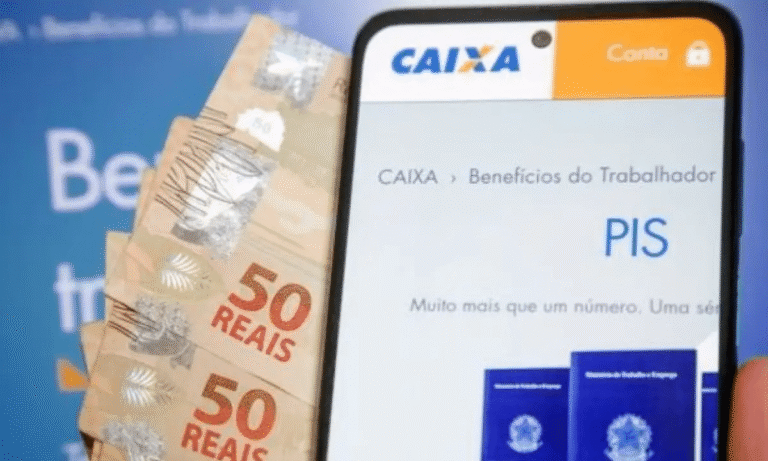 Saiba como consultar o valor do PIS/PASEP através da internet