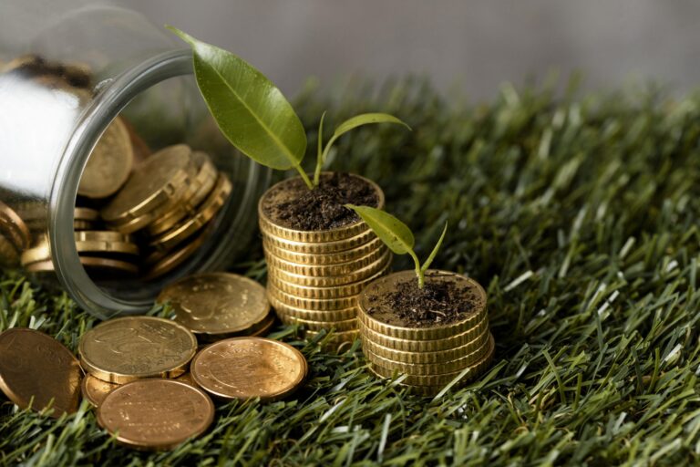Sustainable investments: Trends and future perspectives in the U.S. market