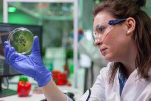 Investment Challenges and Opportunities in the U.S. Biotechnology and Pharmaceutical Sector Post-Pandemic