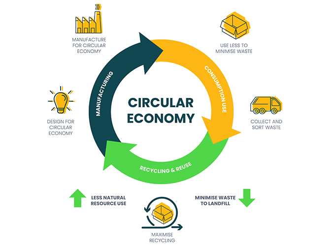 Rewiring finance: How the circular economy is reshaping the US financial sector